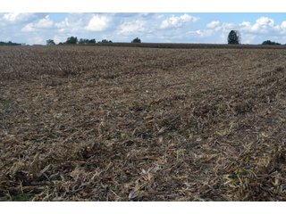 Property photo 58 - EHLE FARMS AUCTION - 118+/- ACRES IN 9 TRACTS IN ALLEN COUNTY, INDIANA